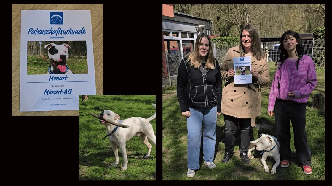 MOZART trifft Mozart